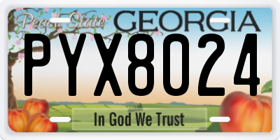 GA license plate PYX8024