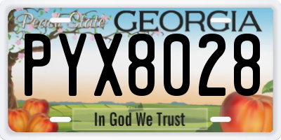 GA license plate PYX8028