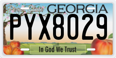 GA license plate PYX8029