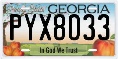 GA license plate PYX8033