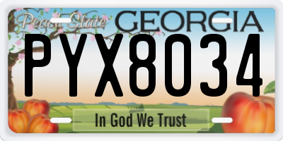 GA license plate PYX8034