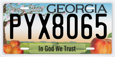 GA license plate PYX8065