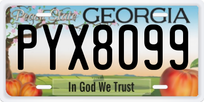GA license plate PYX8099