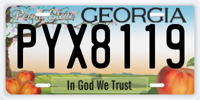 GA license plate PYX8119
