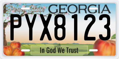 GA license plate PYX8123