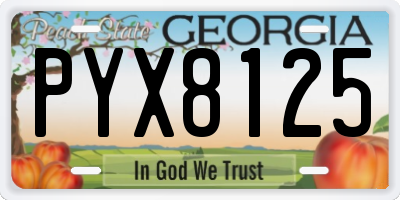 GA license plate PYX8125