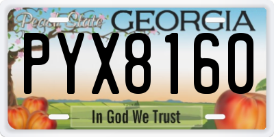 GA license plate PYX8160