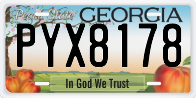 GA license plate PYX8178