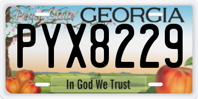 GA license plate PYX8229