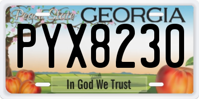 GA license plate PYX8230