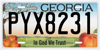 GA license plate PYX8231