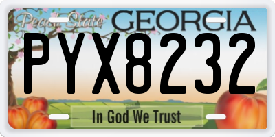 GA license plate PYX8232