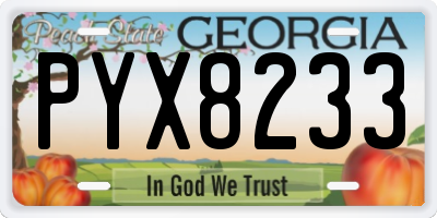 GA license plate PYX8233