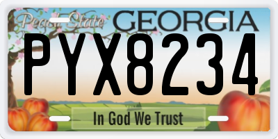 GA license plate PYX8234