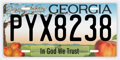GA license plate PYX8238