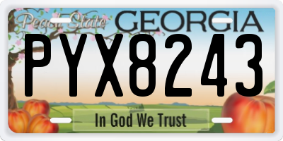 GA license plate PYX8243