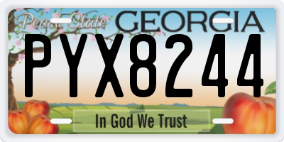 GA license plate PYX8244