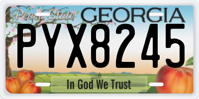 GA license plate PYX8245