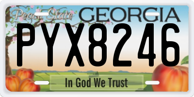 GA license plate PYX8246