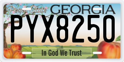 GA license plate PYX8250