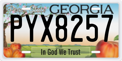 GA license plate PYX8257