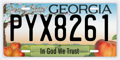 GA license plate PYX8261