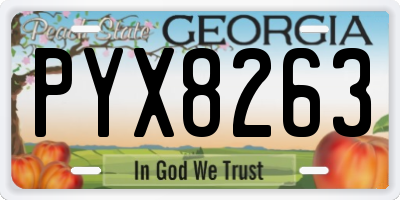 GA license plate PYX8263