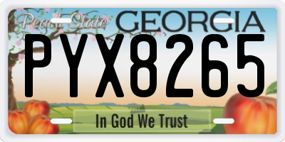 GA license plate PYX8265
