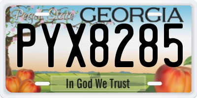 GA license plate PYX8285
