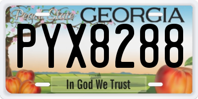 GA license plate PYX8288