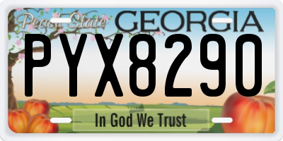 GA license plate PYX8290