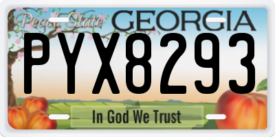 GA license plate PYX8293