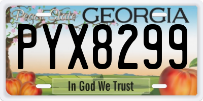 GA license plate PYX8299