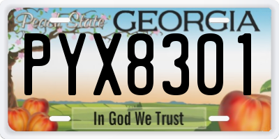 GA license plate PYX8301