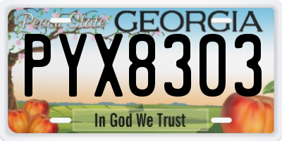 GA license plate PYX8303