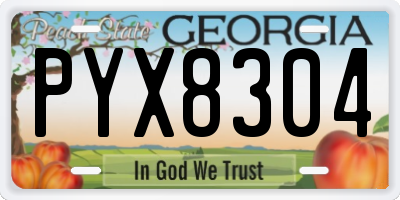 GA license plate PYX8304