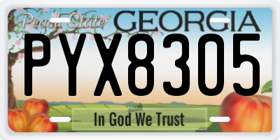 GA license plate PYX8305