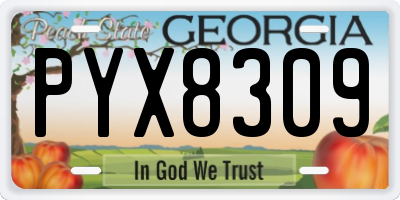 GA license plate PYX8309