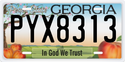 GA license plate PYX8313