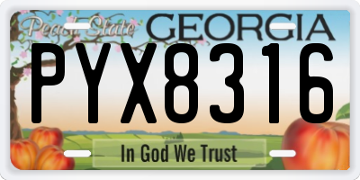 GA license plate PYX8316