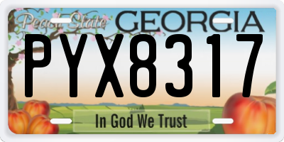 GA license plate PYX8317