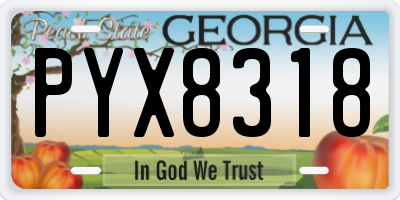 GA license plate PYX8318