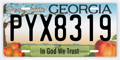 GA license plate PYX8319
