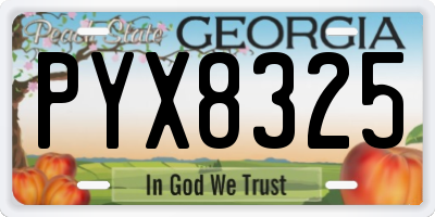 GA license plate PYX8325