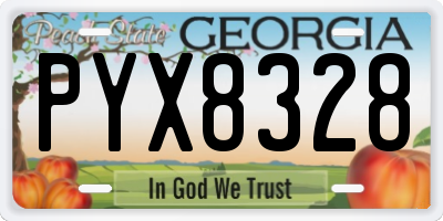 GA license plate PYX8328