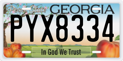 GA license plate PYX8334
