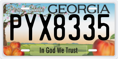 GA license plate PYX8335