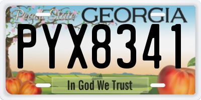 GA license plate PYX8341