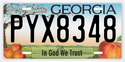 GA license plate PYX8348