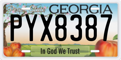 GA license plate PYX8387